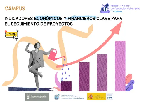 Formación permanente COE Canarias - Indicadores financieros